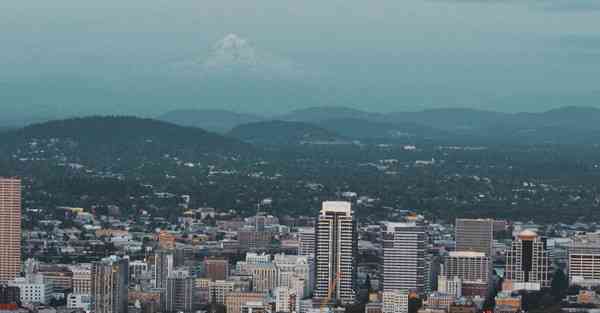 苹果版ip转换器免费版