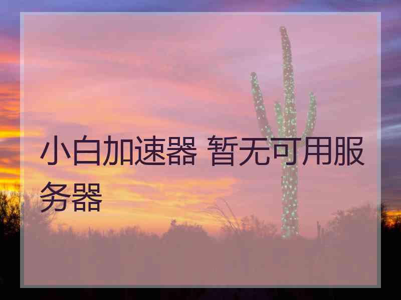 小白加速器 暂无可用服务器