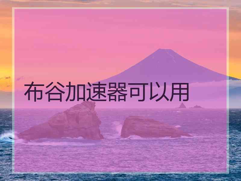 布谷加速器可以用