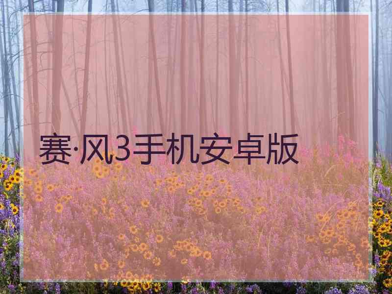赛·风3手机安卓版