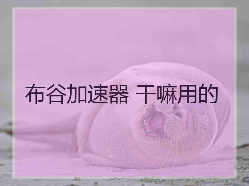 布谷加速器 干嘛用的