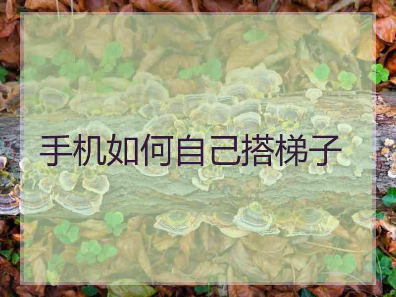 手机如何自己搭梯子