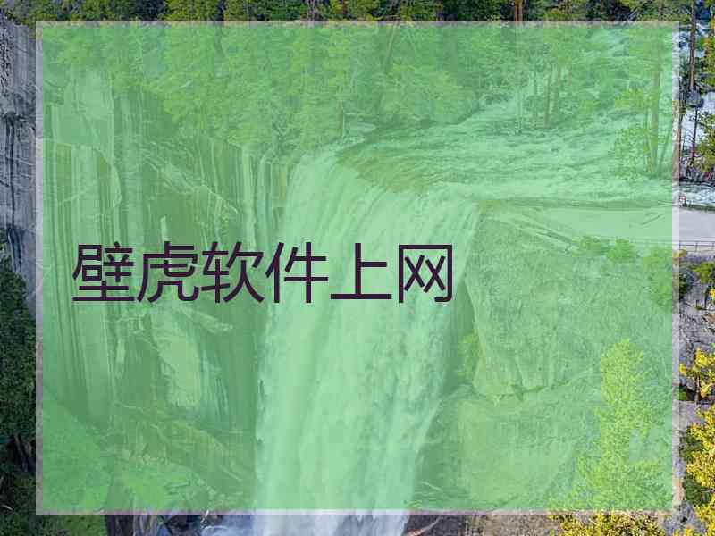 壁虎软件上网