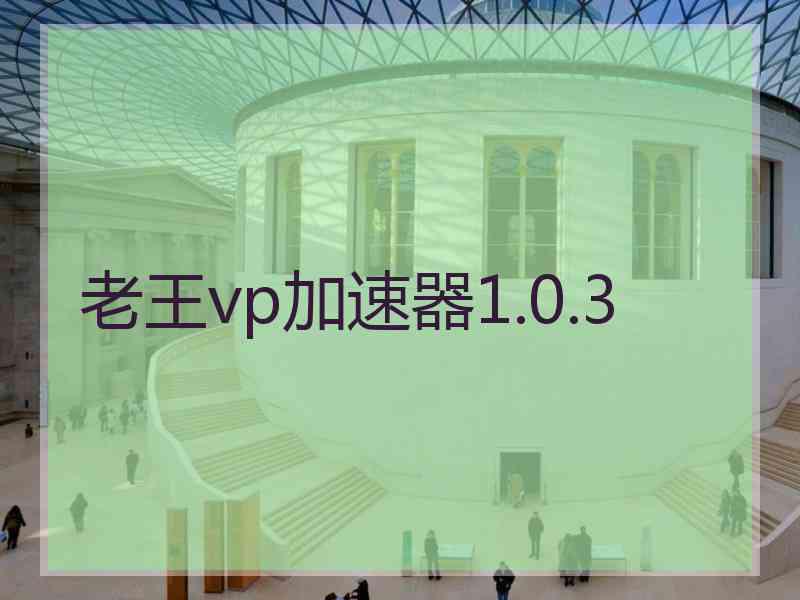 老王vp加速器1.0.3