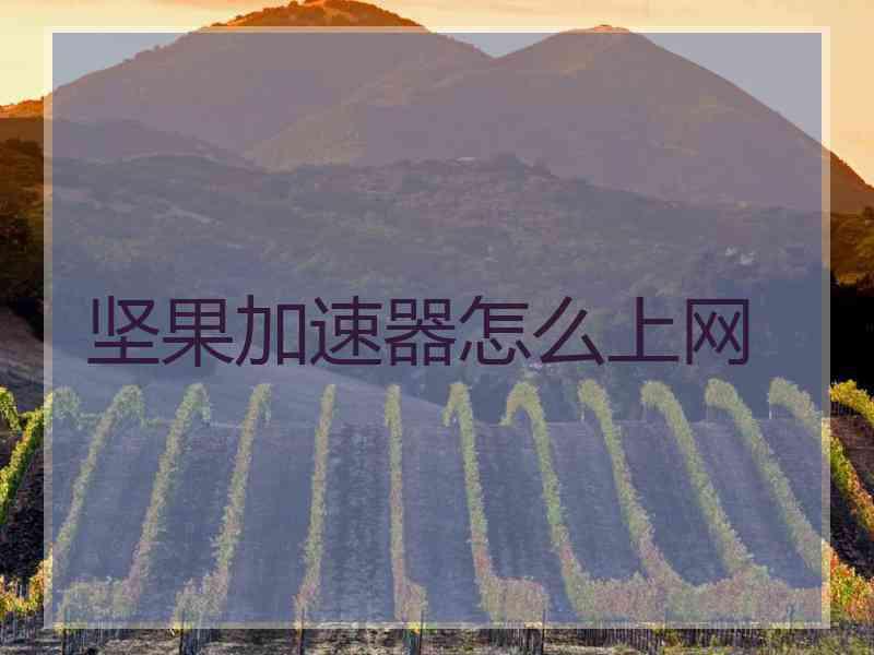 坚果加速器怎么上网