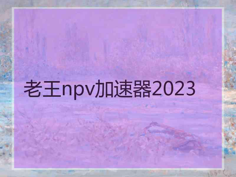 老王npv加速器2023