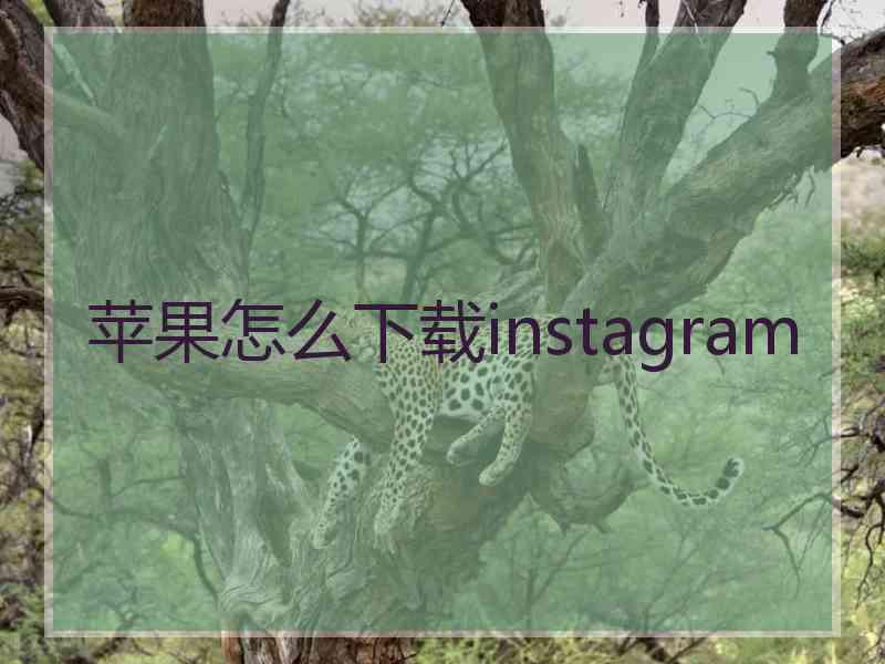 苹果怎么下载instagram