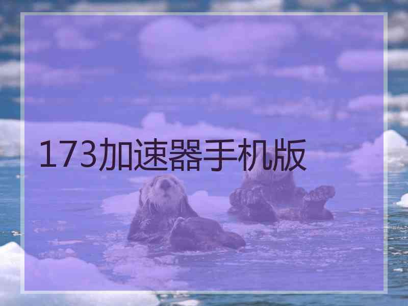 173加速器手机版