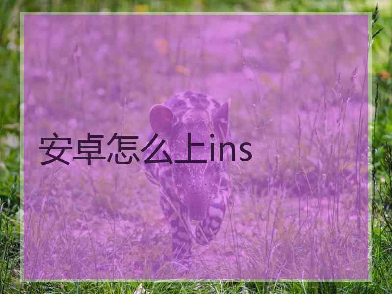 安卓怎么上ins