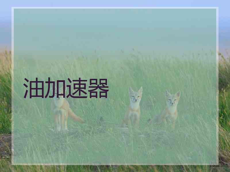 油加速器