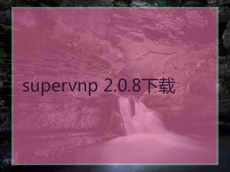 supervnp 2.0.8下载