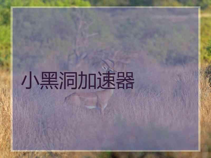 小黑洞加速器