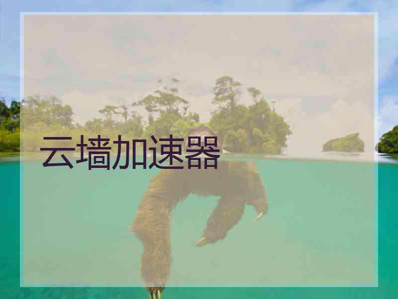 云墙加速器