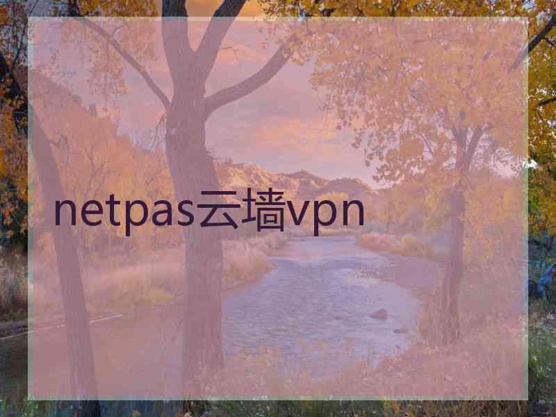 netpas云墙vpn