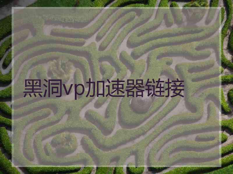 黑洞vp加速器链接