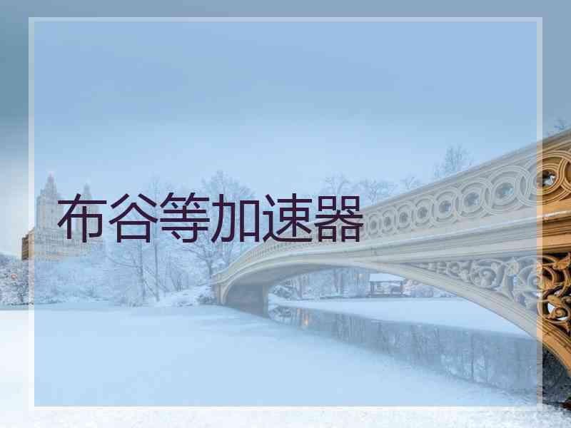 布谷等加速器