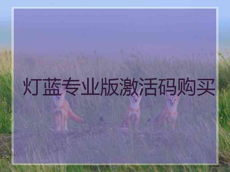 灯蓝专业版激活码购买
