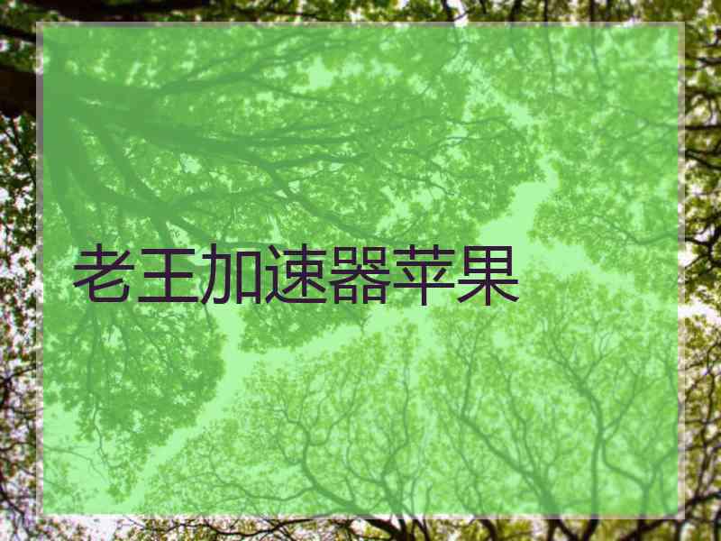 老王加速器苹果