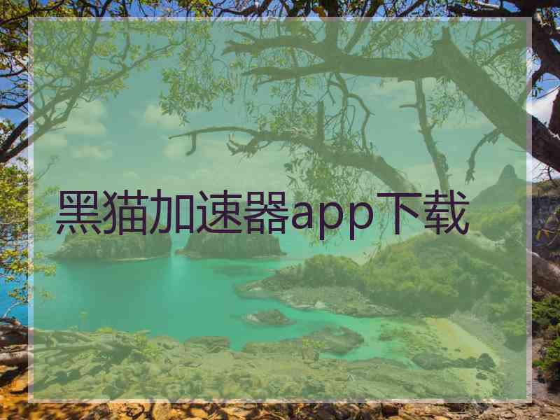 黑猫加速器app下载