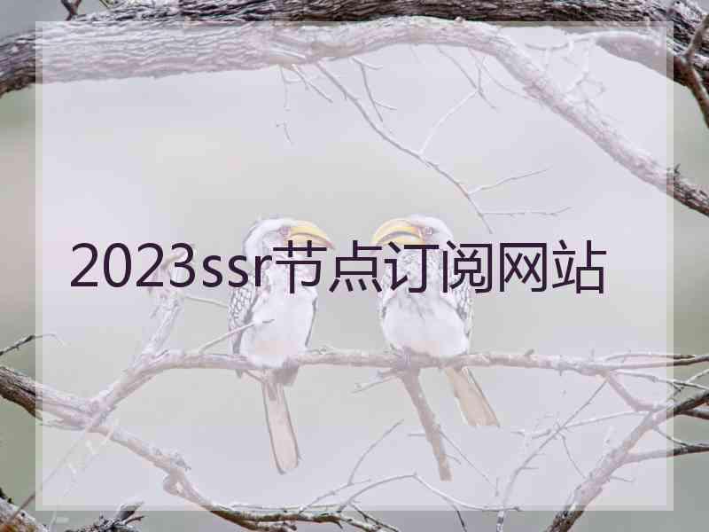 2023ssr节点订阅网站