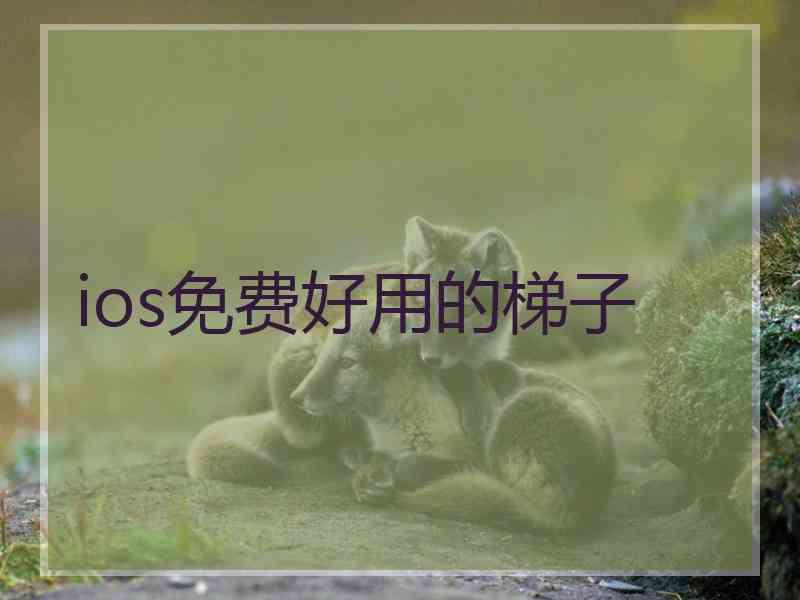 ios免费好用的梯子