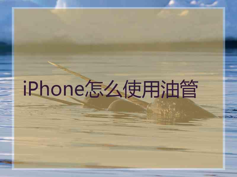 iPhone怎么使用油管