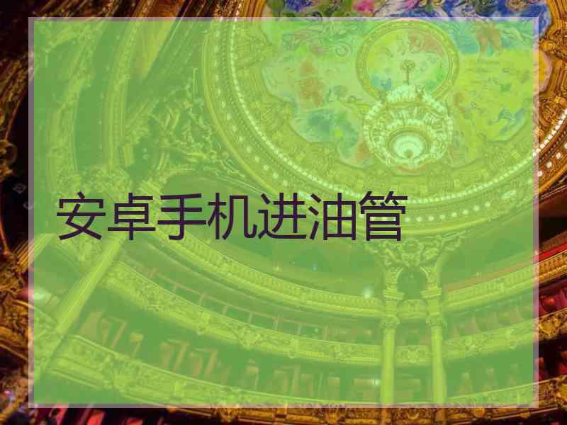 安卓手机进油管