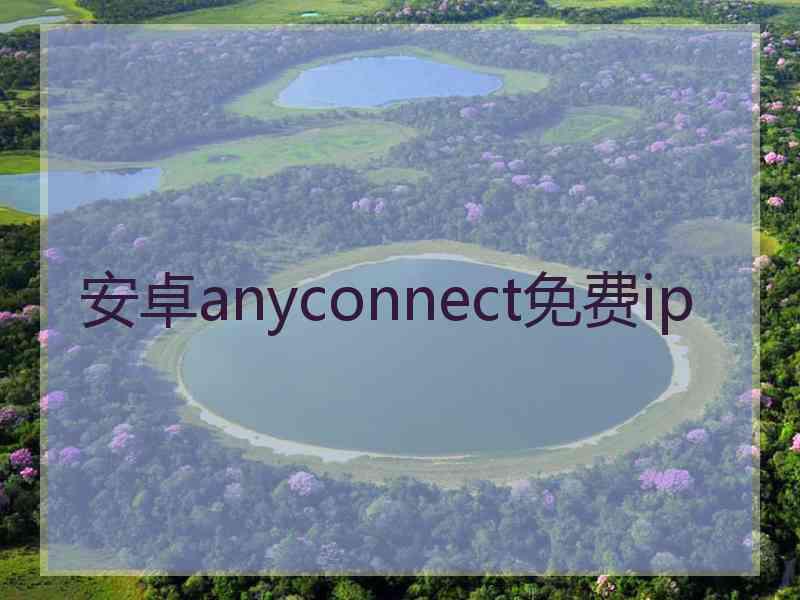 安卓anyconnect免费ip