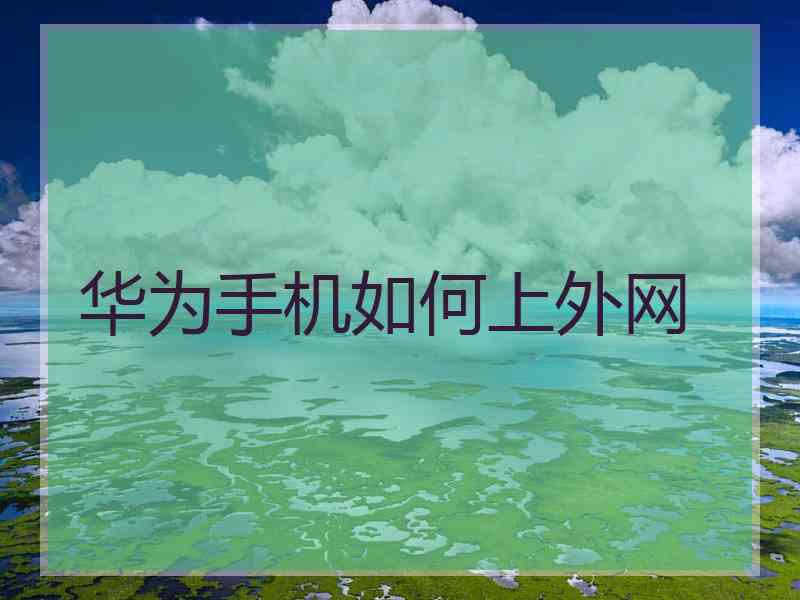 华为手机如何上外网