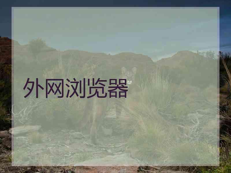 外网浏览器