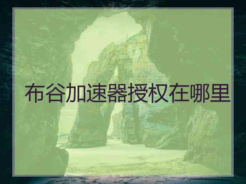 布谷加速器授权在哪里