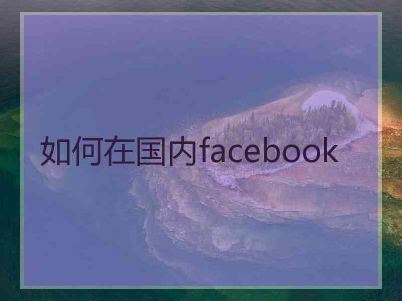 如何在国内facebook