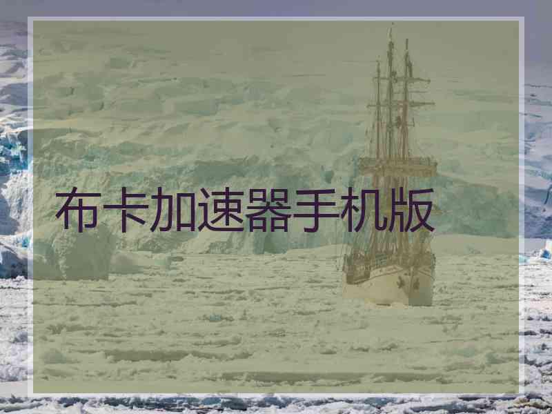 布卡加速器手机版