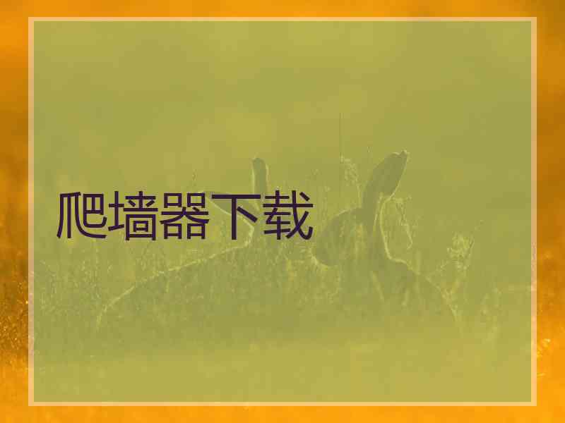 爬墙器下载
