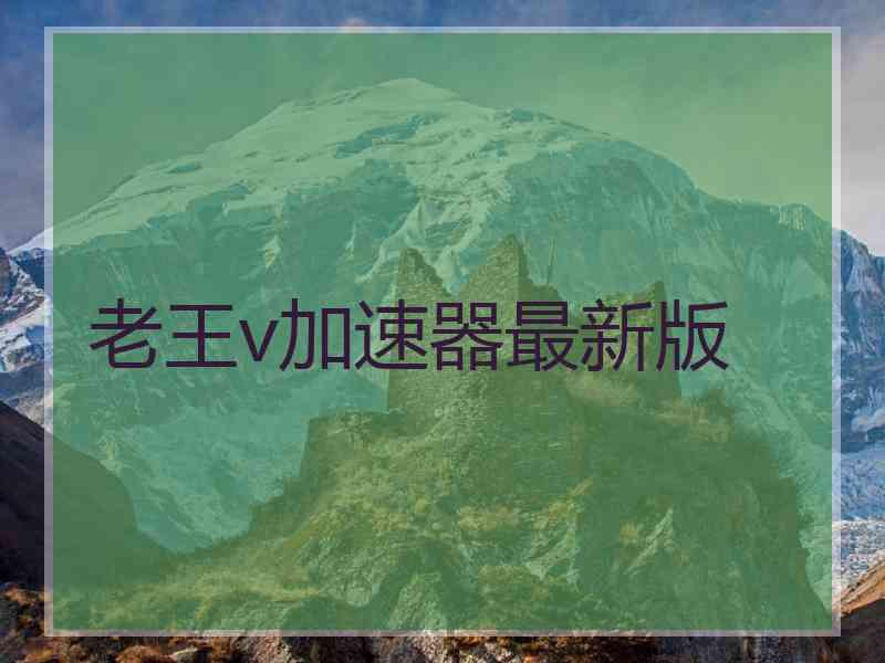 老王v加速器最新版