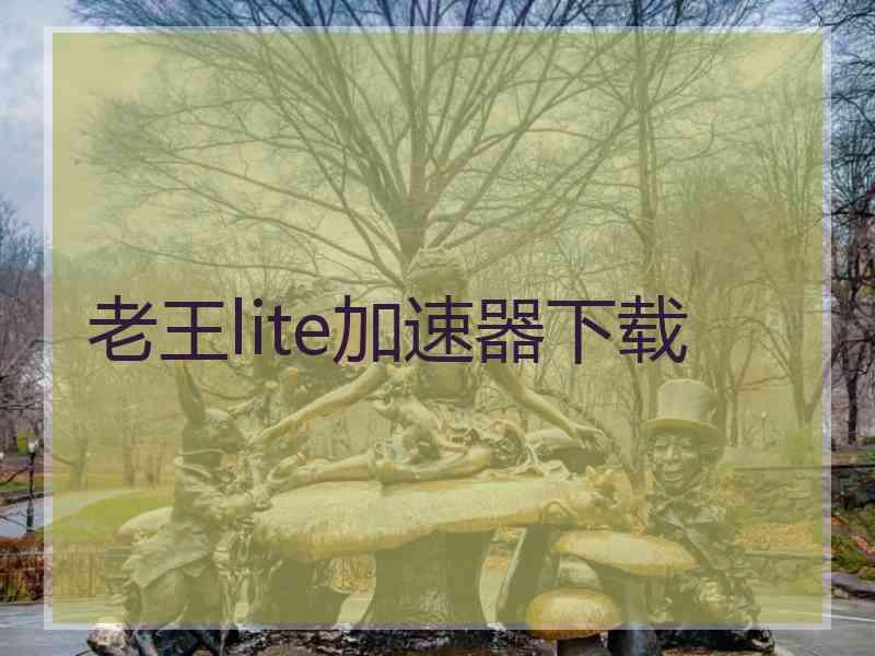 老王lite加速器下载