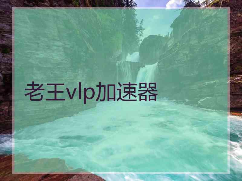 老王vlp加速器