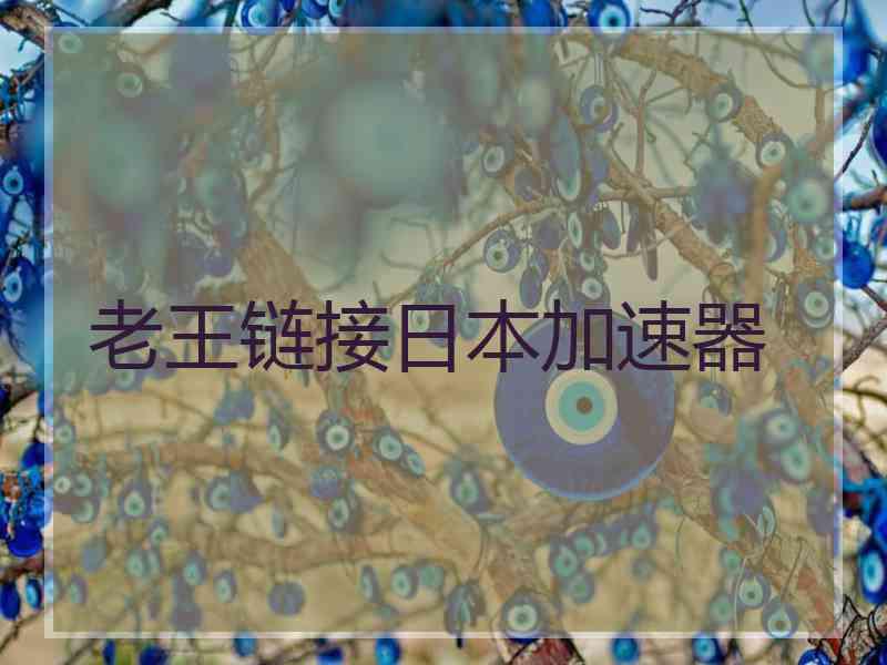 老王链接日本加速器