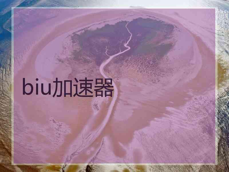 biu加速器
