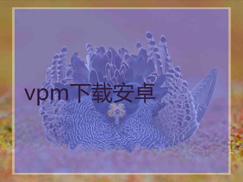 vpm下载安卓