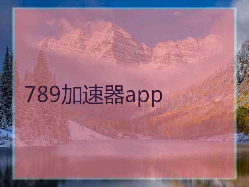 789加速器app