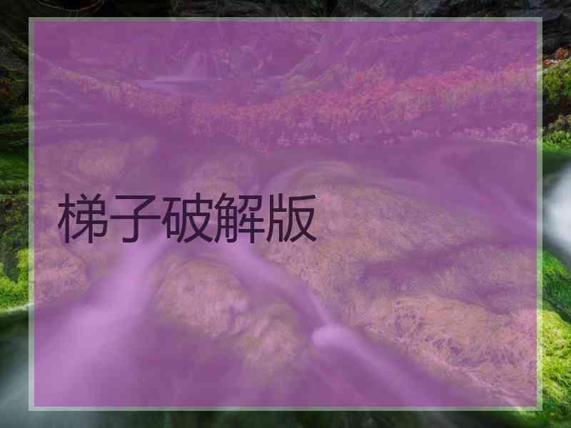 梯子破解版