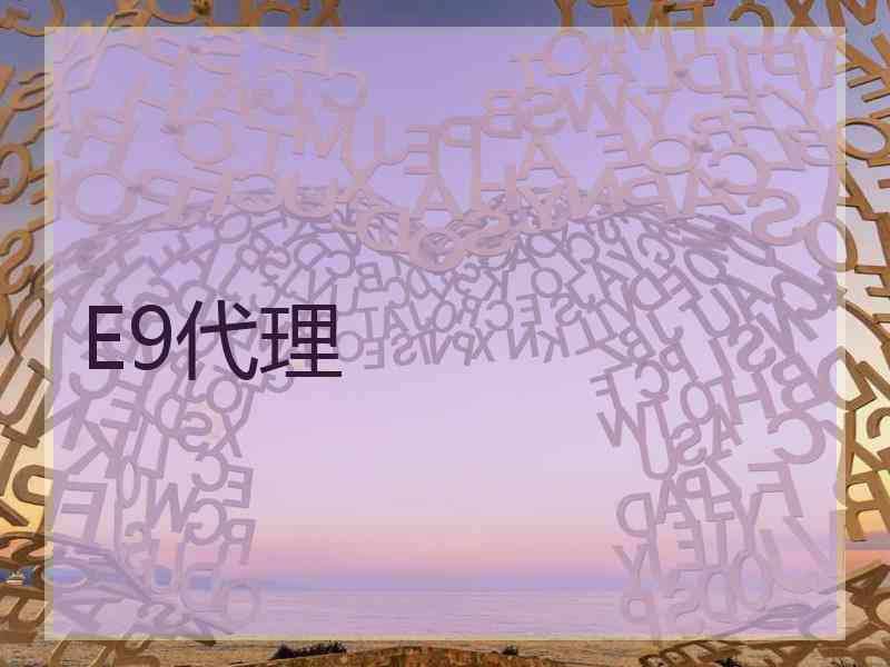 E9代理