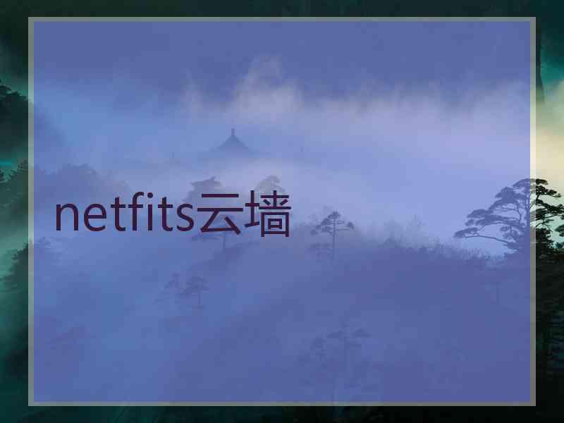 netfits云墙