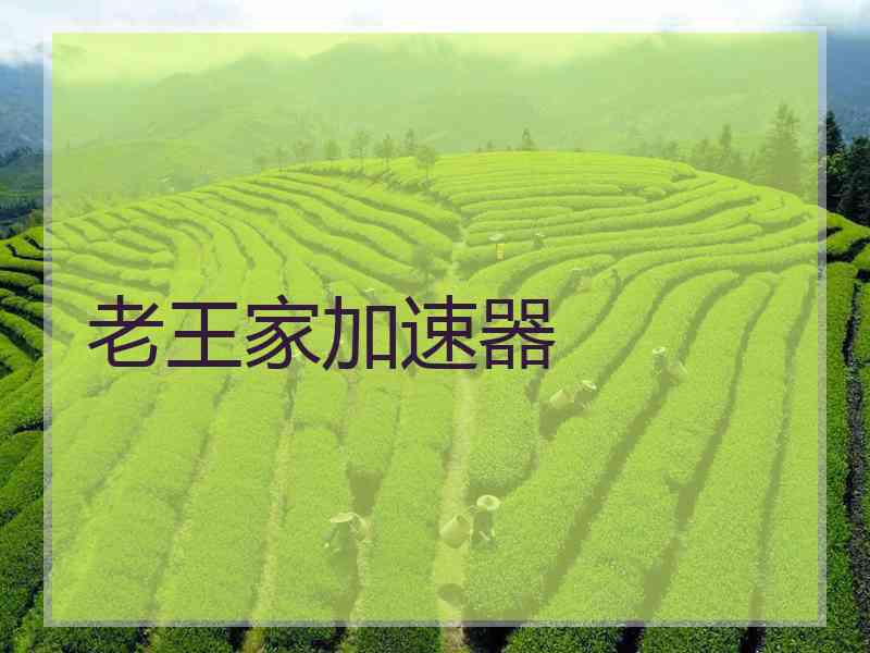 老王家加速器
