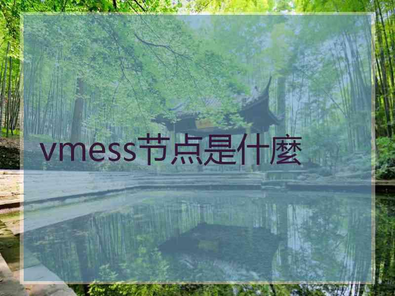 vmess节点是什麼