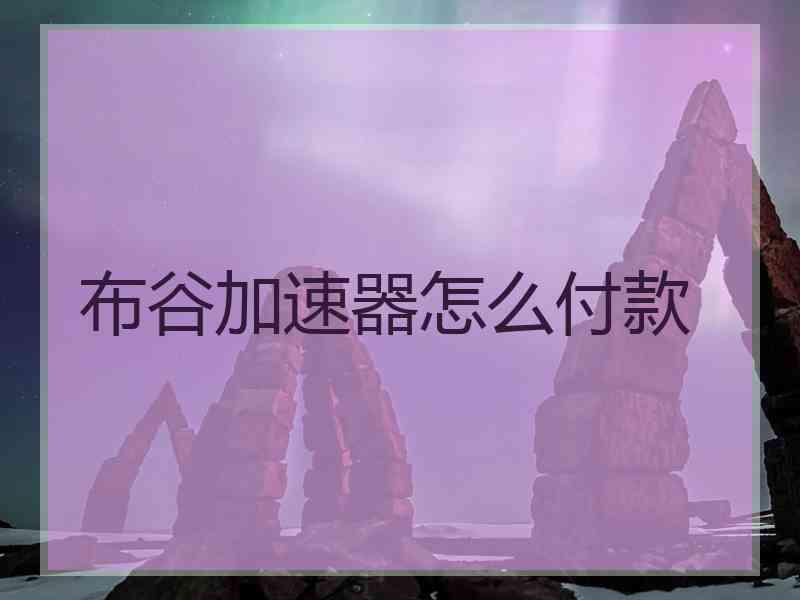 布谷加速器怎么付款