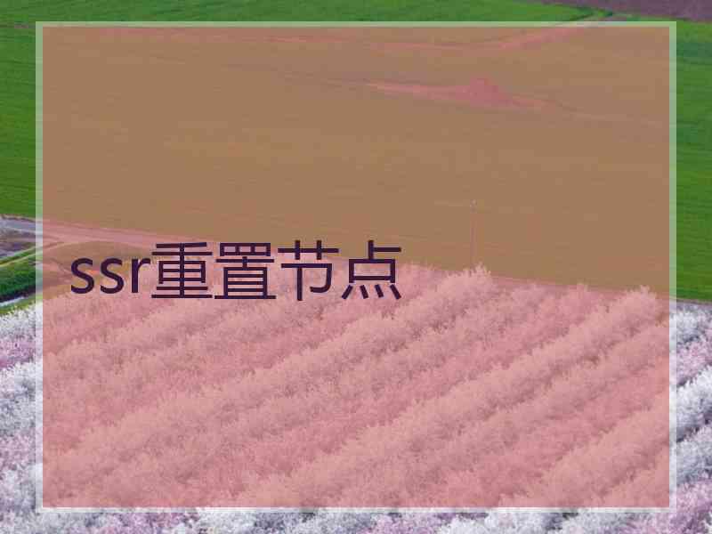 ssr重置节点