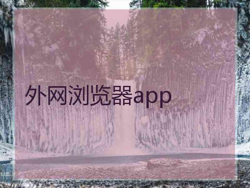 外网浏览器app