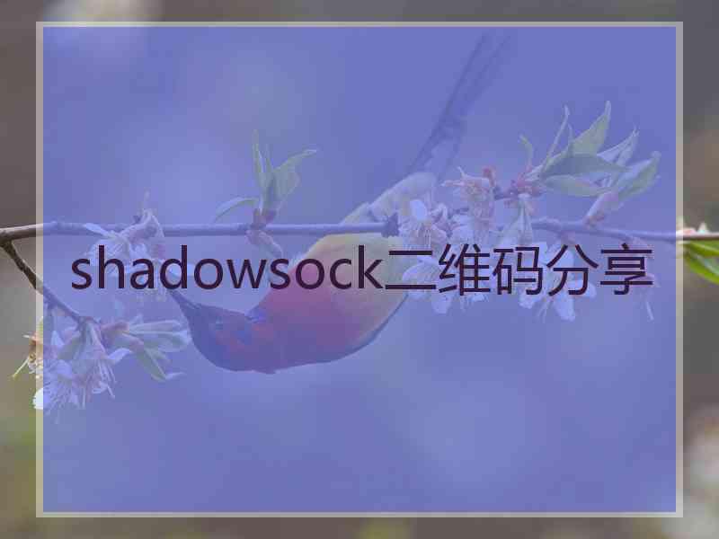 shadowsock二维码分享